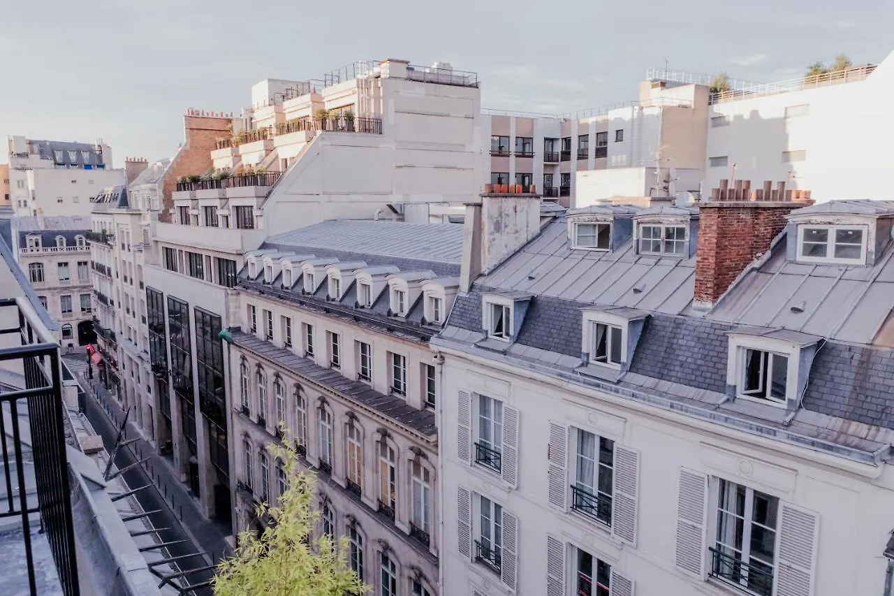 Luxury Apartment Elysees Paris